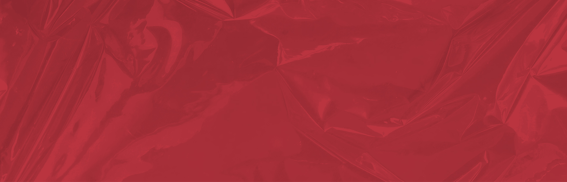 every-banner-pro.jpg