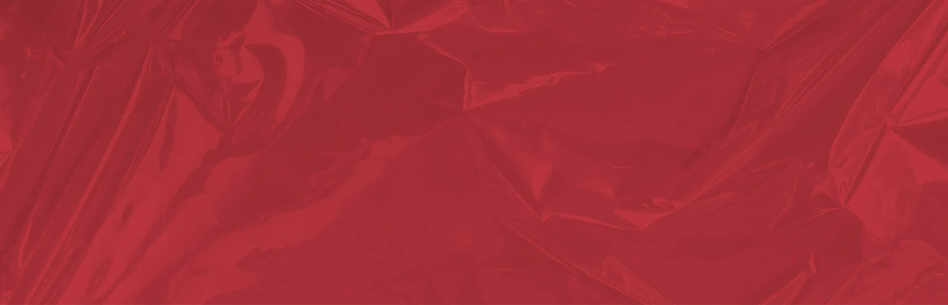 every-banner-pro.webp