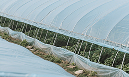 Agriculture Film