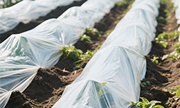 Biodegradable agricultural film