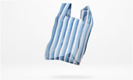 3-Color Striped Bag